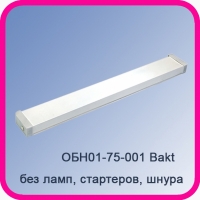 Облучатель бактерицидный ОБН01-75-001 Bakt настенный (без ламп, без стартеров, без шнура)
